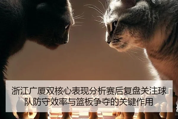 浙江广厦双核心表现分析赛后复盘关注球队防守效率与篮板争夺的关键作用